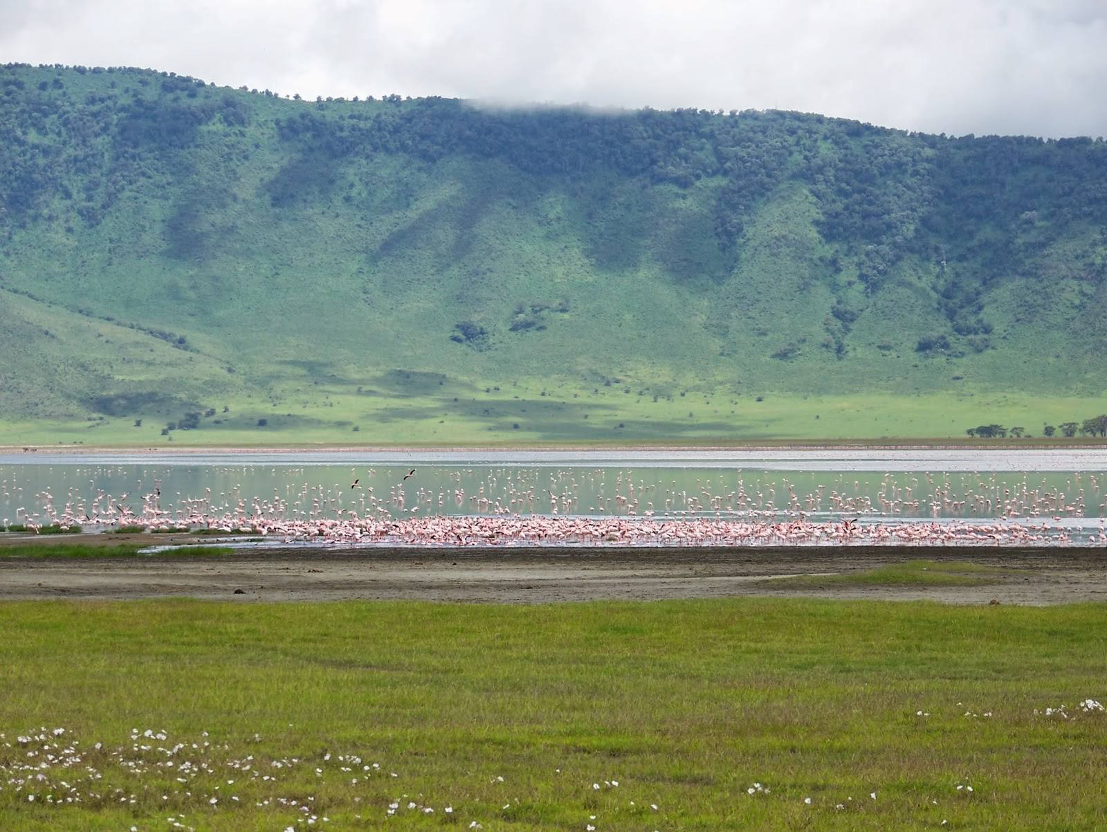 Gombe Stream National Park