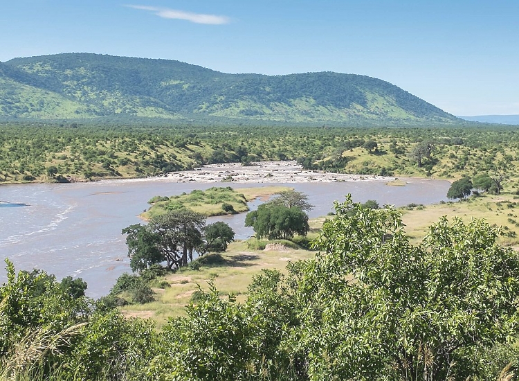 5-Day Ruaha National Park Safari: Discover Tanzania’s Largest Wilderness